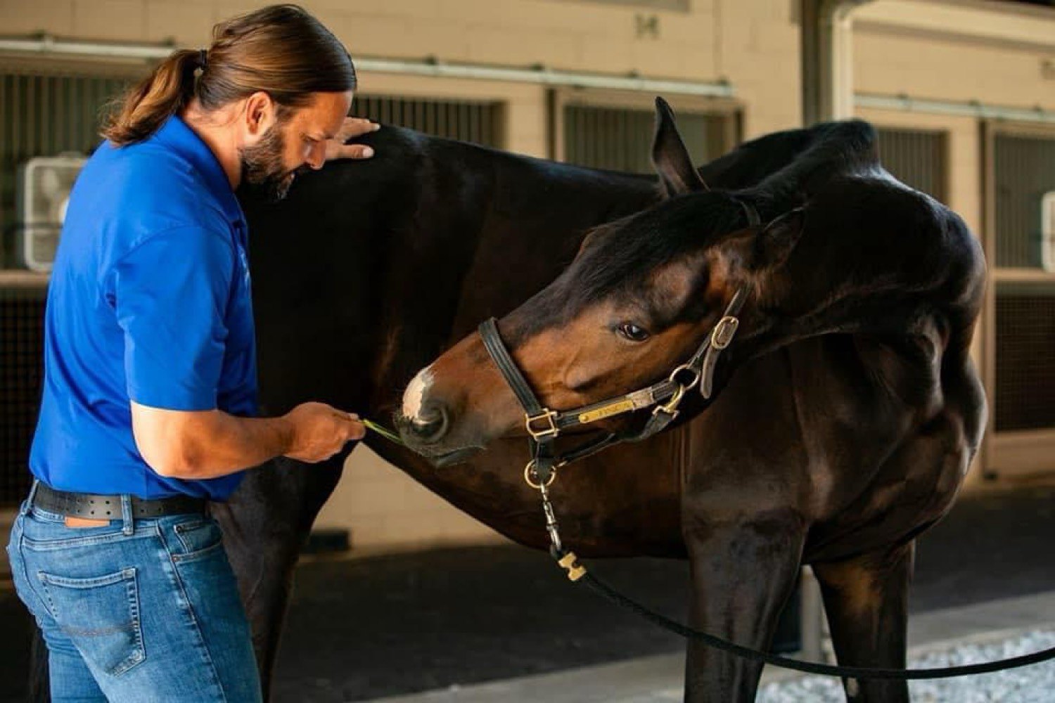 Dr. Burnham with a hand on a horse’s neck in the barn aisle